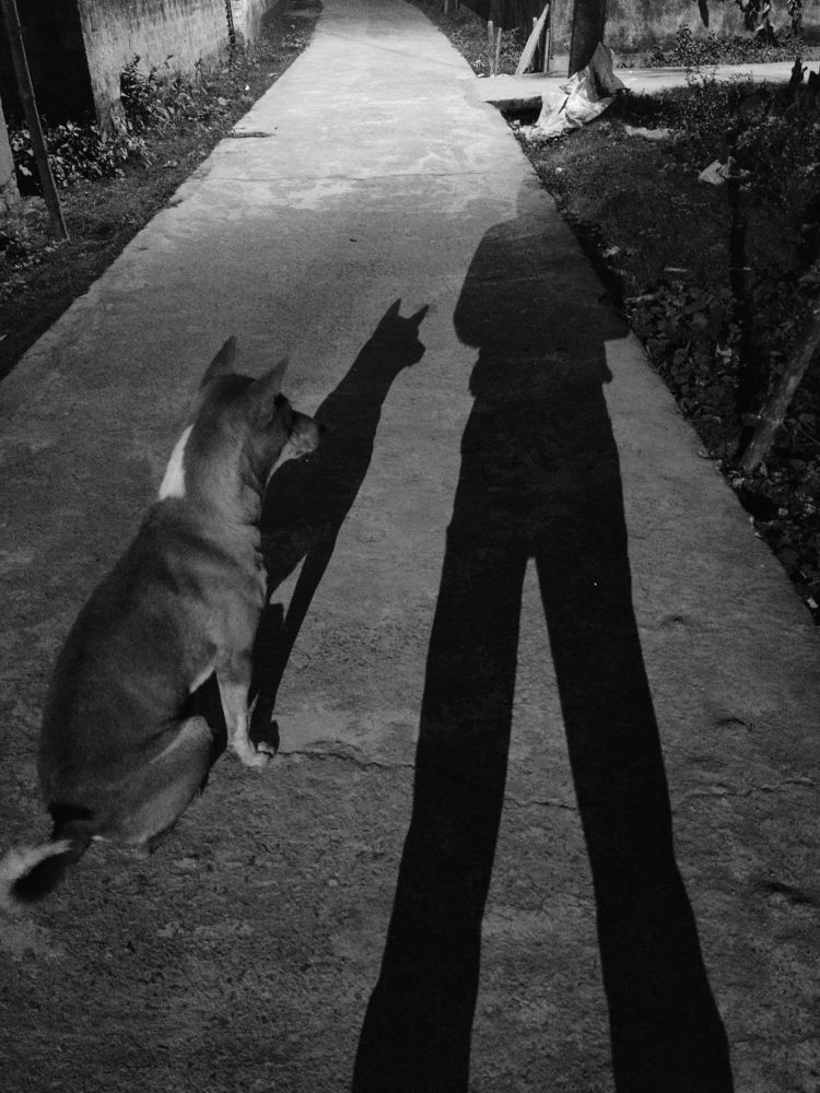 Photograph by  Shaikh Alfaz