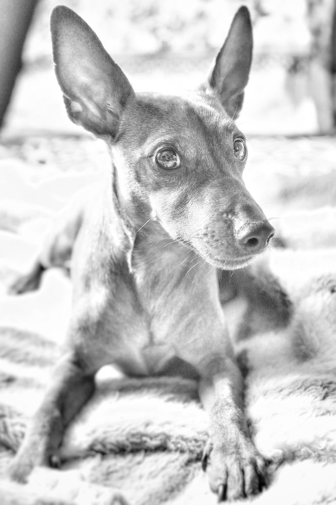 Photograph by Игорь Маслов