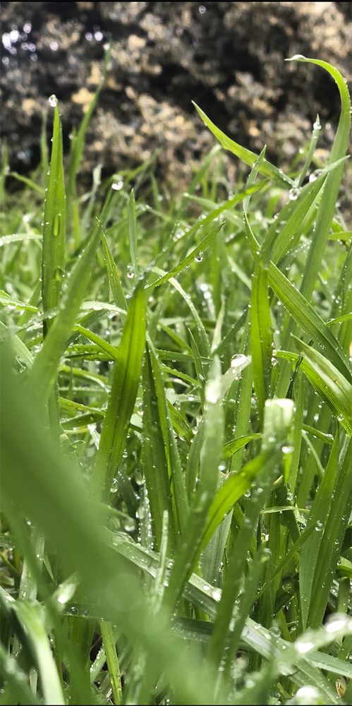 Photograph by Наталия Маряч