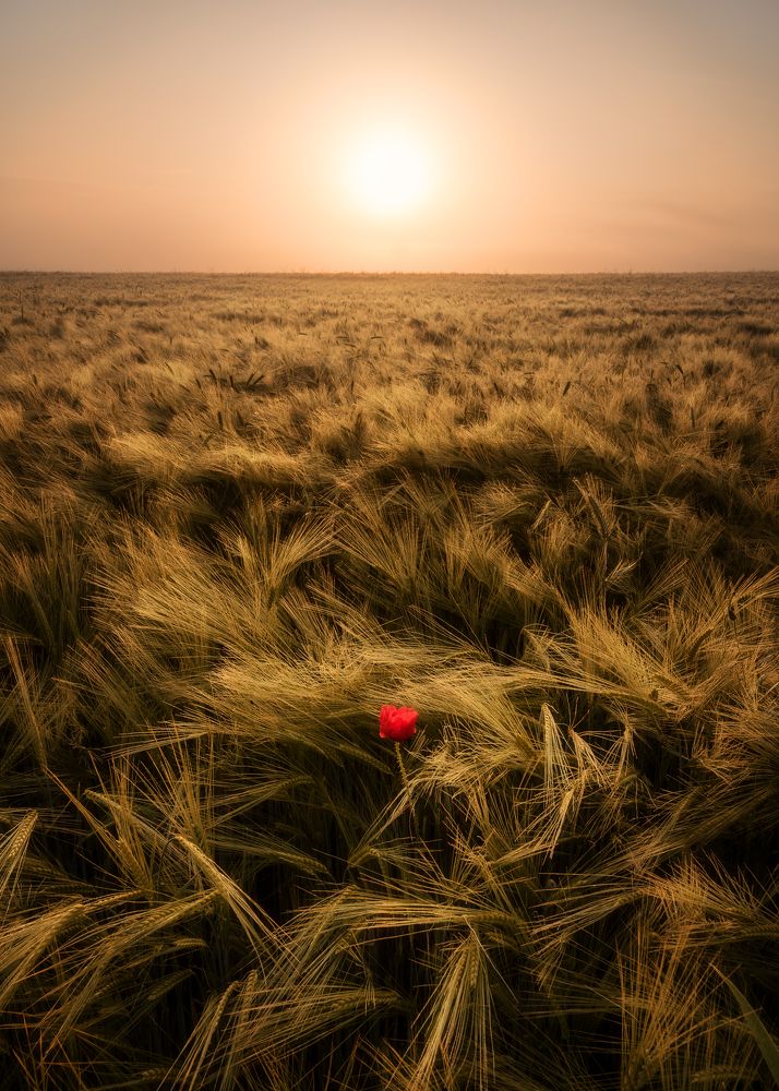 Photograph by Piotr Pawelczyk