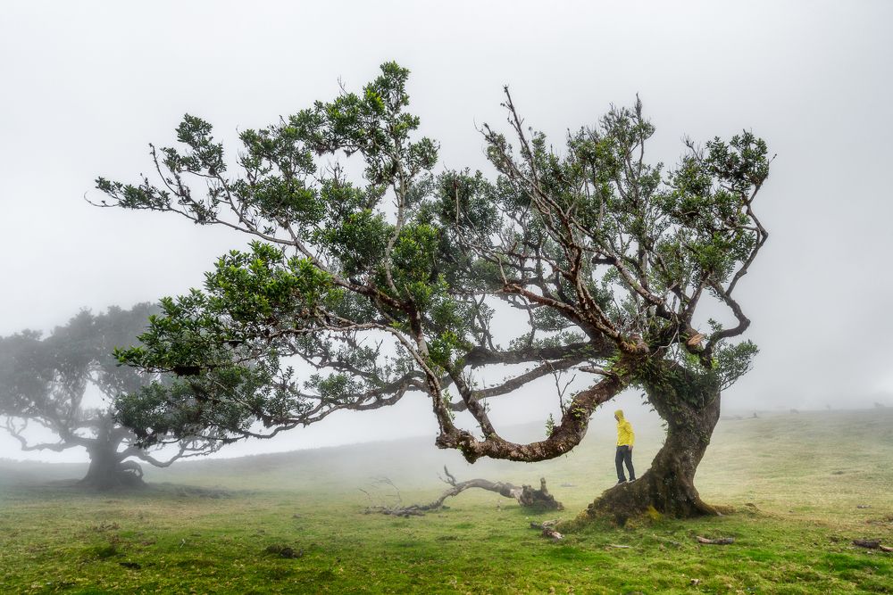 Photograph by Piotr Pawelczyk
