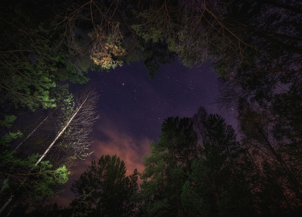 Photograph by Евгений Антонов