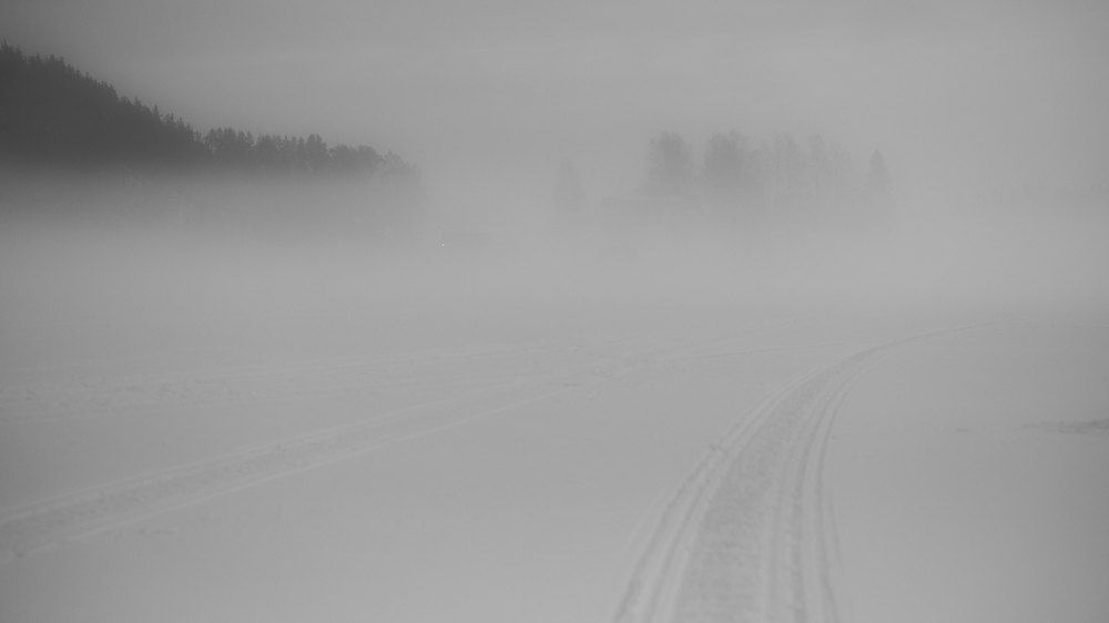 Фотография автора Alexey Beskorovayniy