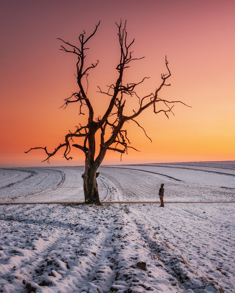 Photograph by Piotr Pawelczyk