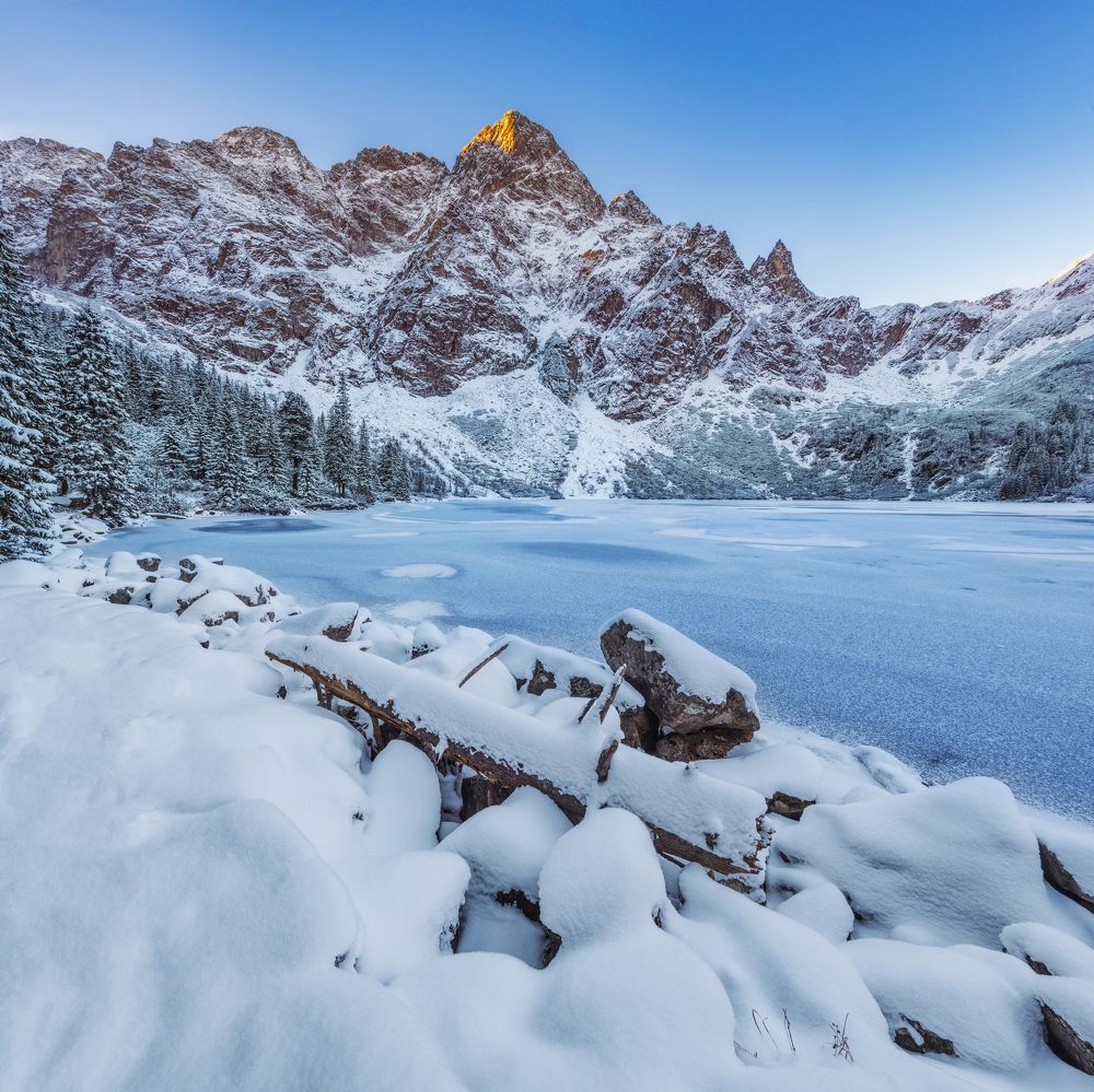 Photograph by Piotr Pawelczyk