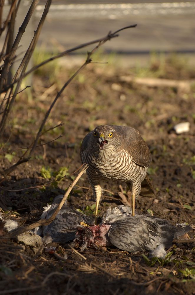 Photograph by Наталья