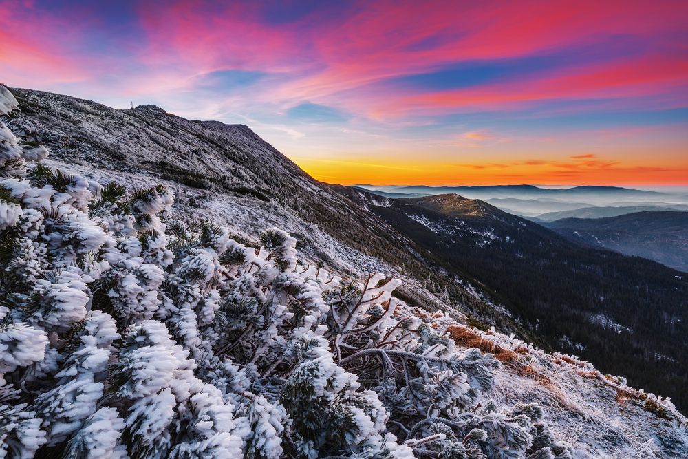 Photograph by Piotr Pawelczyk