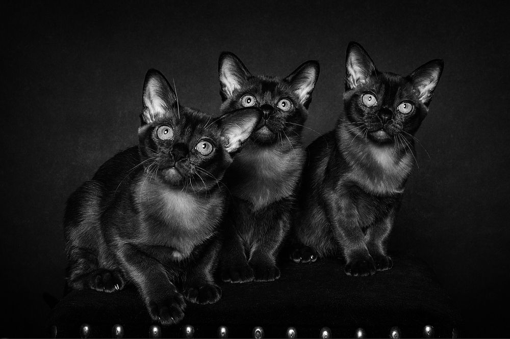 Photograph by Ольга Калимулина