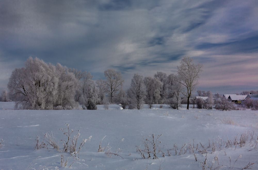 Фотография автора Александр Сальников