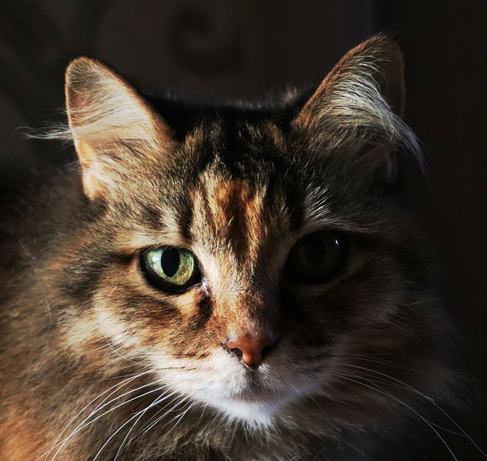 Photograph by Андрей Варакса