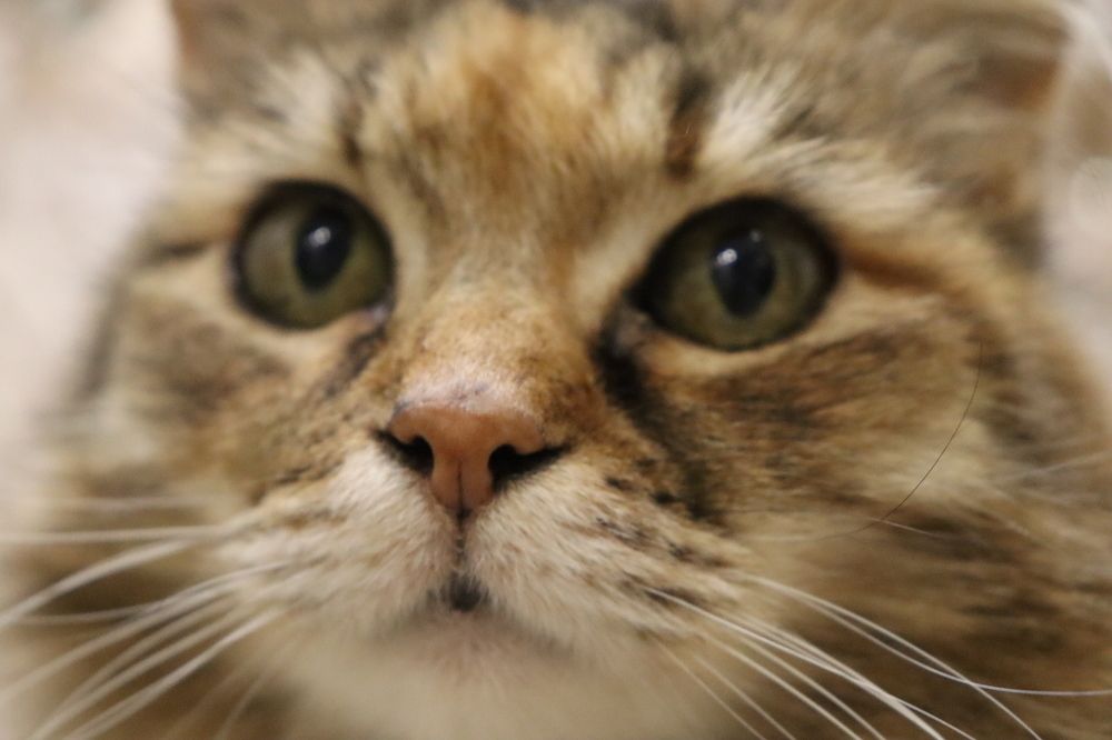 Photograph by Андрей Варакса