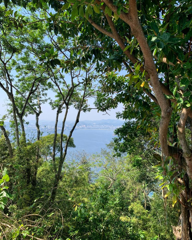 Photograph by Jeremy Angulo