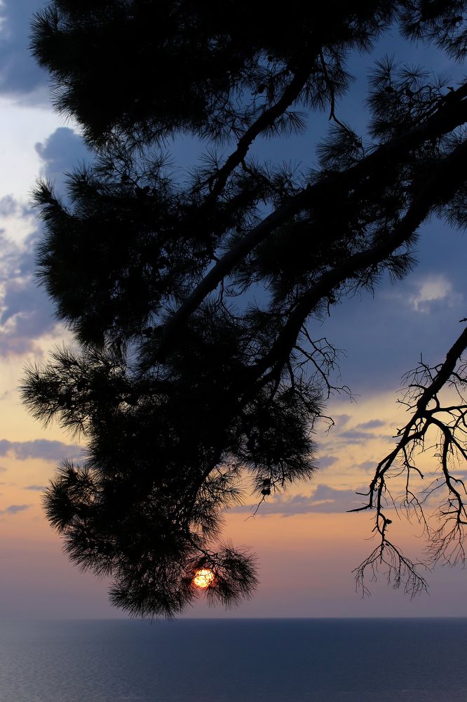 Photograph by Айша Кистаубаева