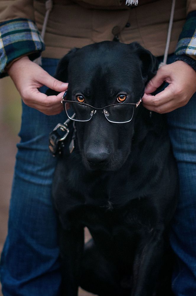 Photograph by Людмила Потапова