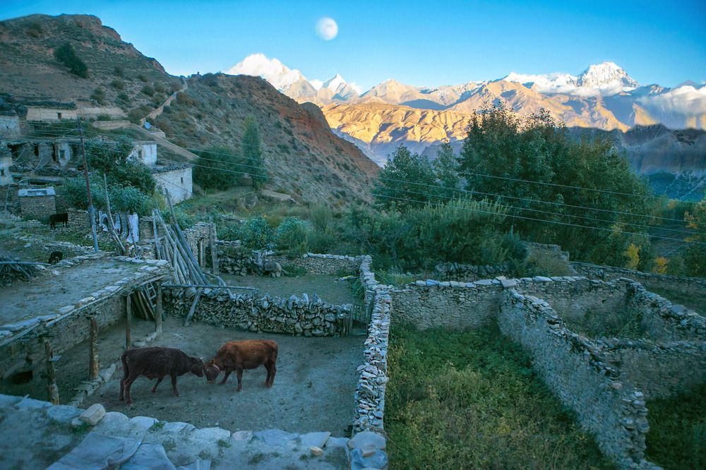 Вечер в непальской деревне.