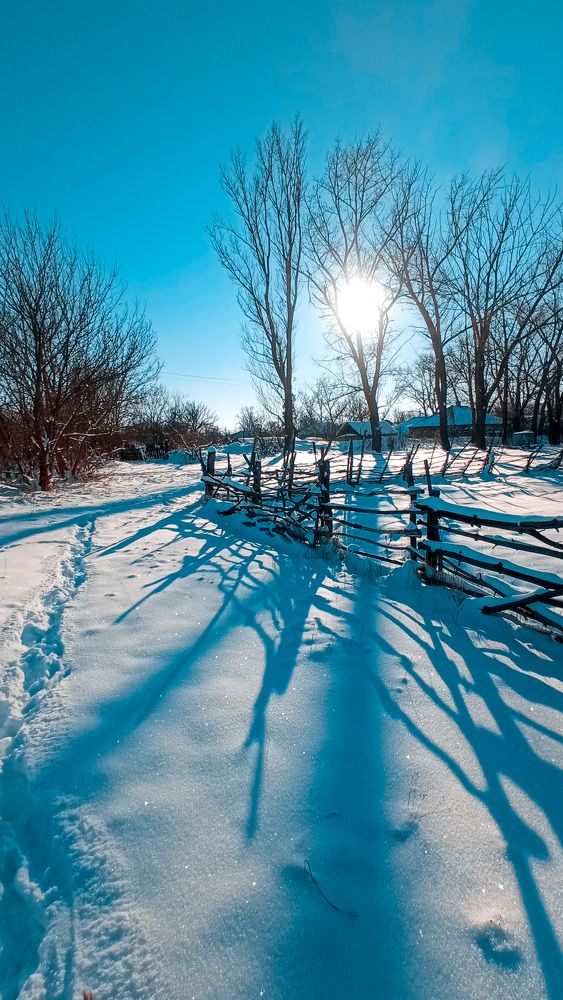 Frost and sun