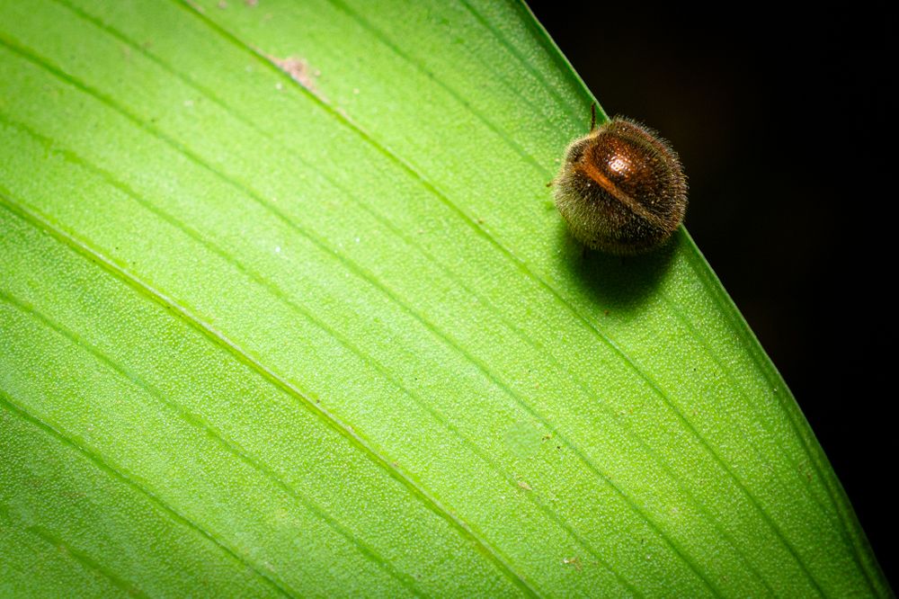 Photograph by Claudio Sá Carvalho Gavinho