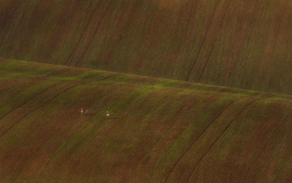 Photograph by Евгений Антонов