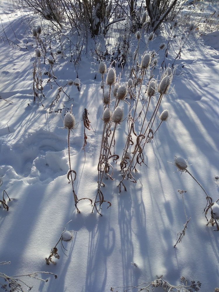 Photo #5725369