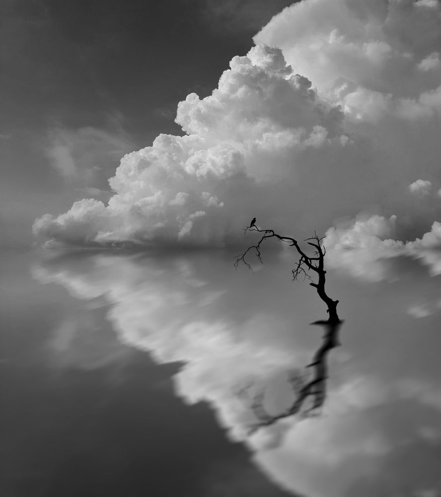 Photograph by aref tahmasbi