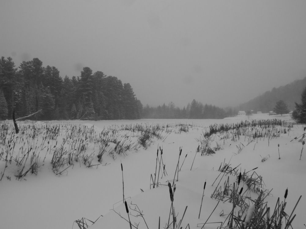 Photograph by Josée Beauchemin