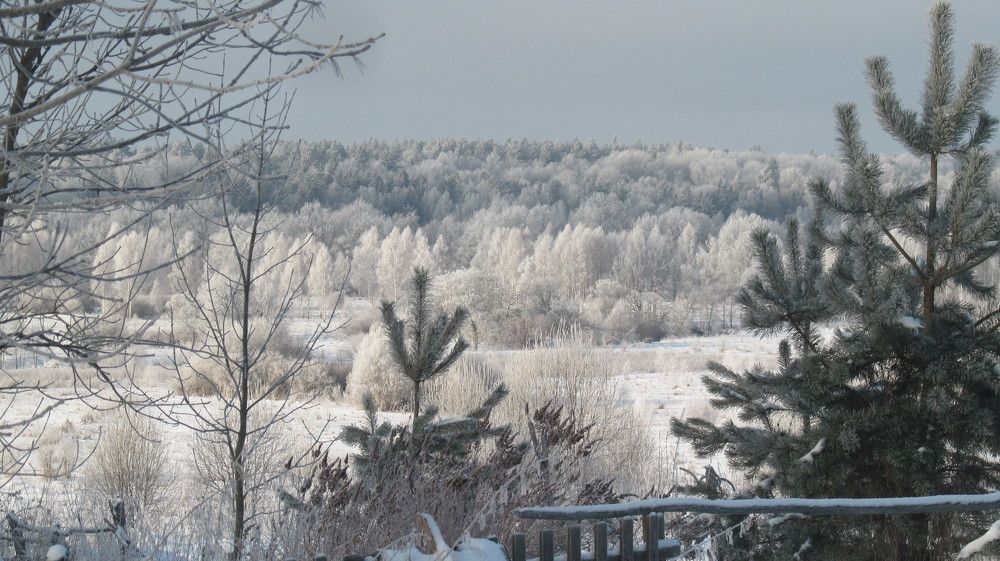 Медвежий угол