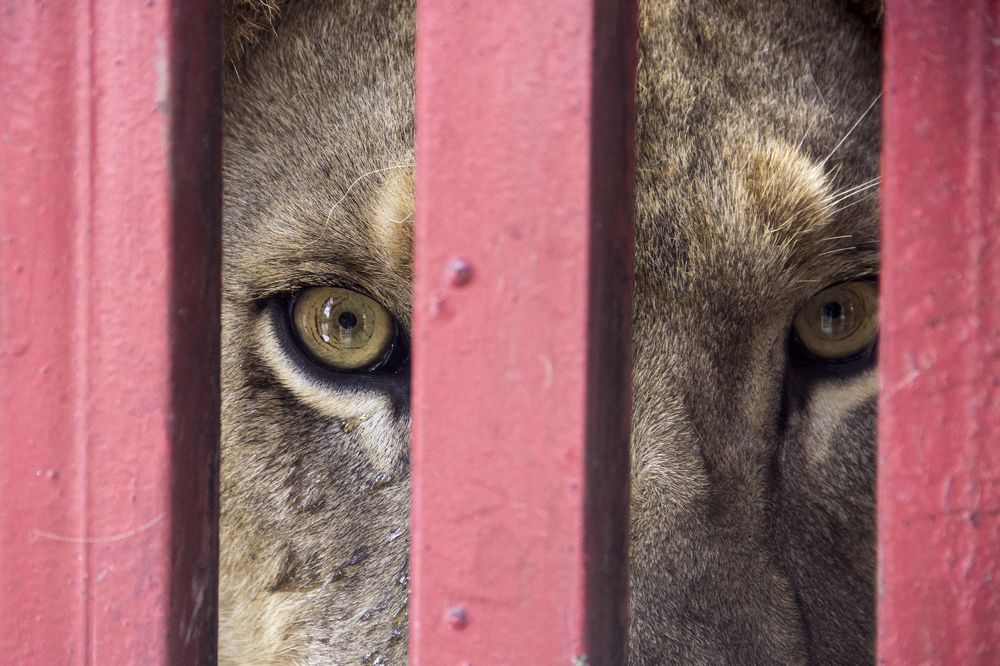 Photograph by Alejandro Rodríguez