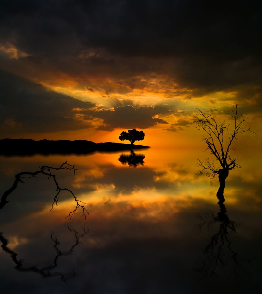 Photograph by aref tahmasbi