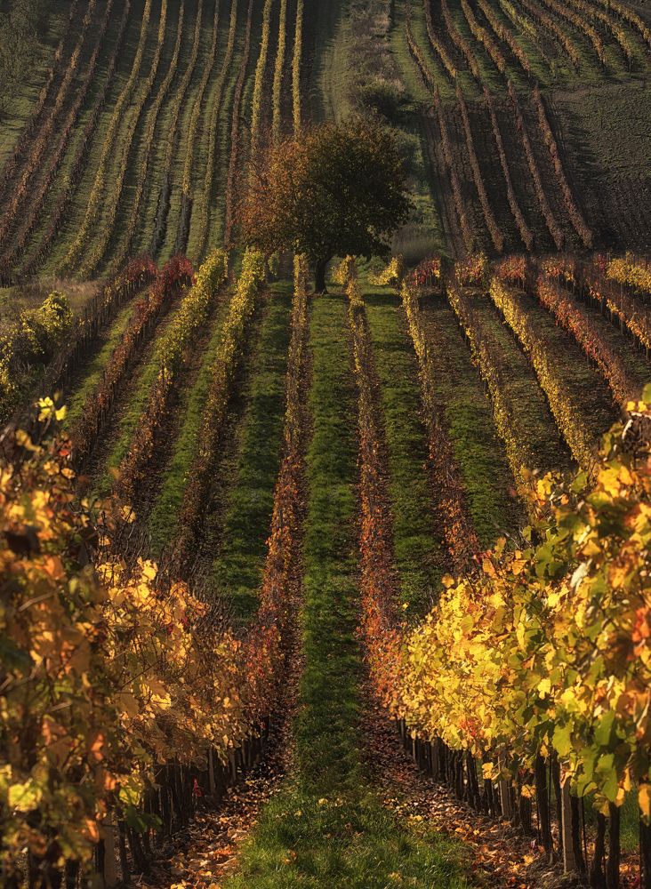 Photograph by Евгений Антонов