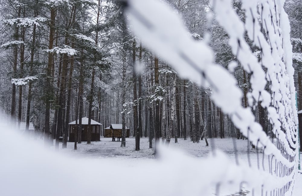 Photograph by Наталия Белозерова