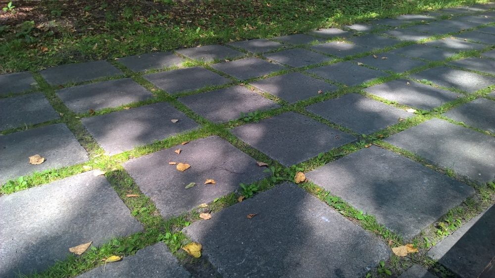 Photograph by Иван Скорик