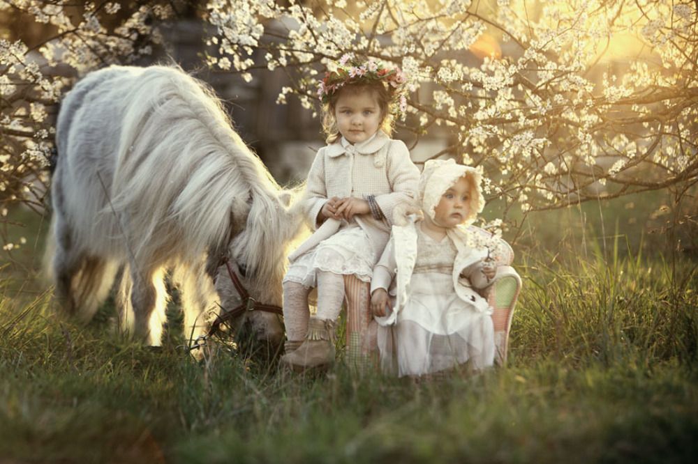 Photograph by Renate Tompsone