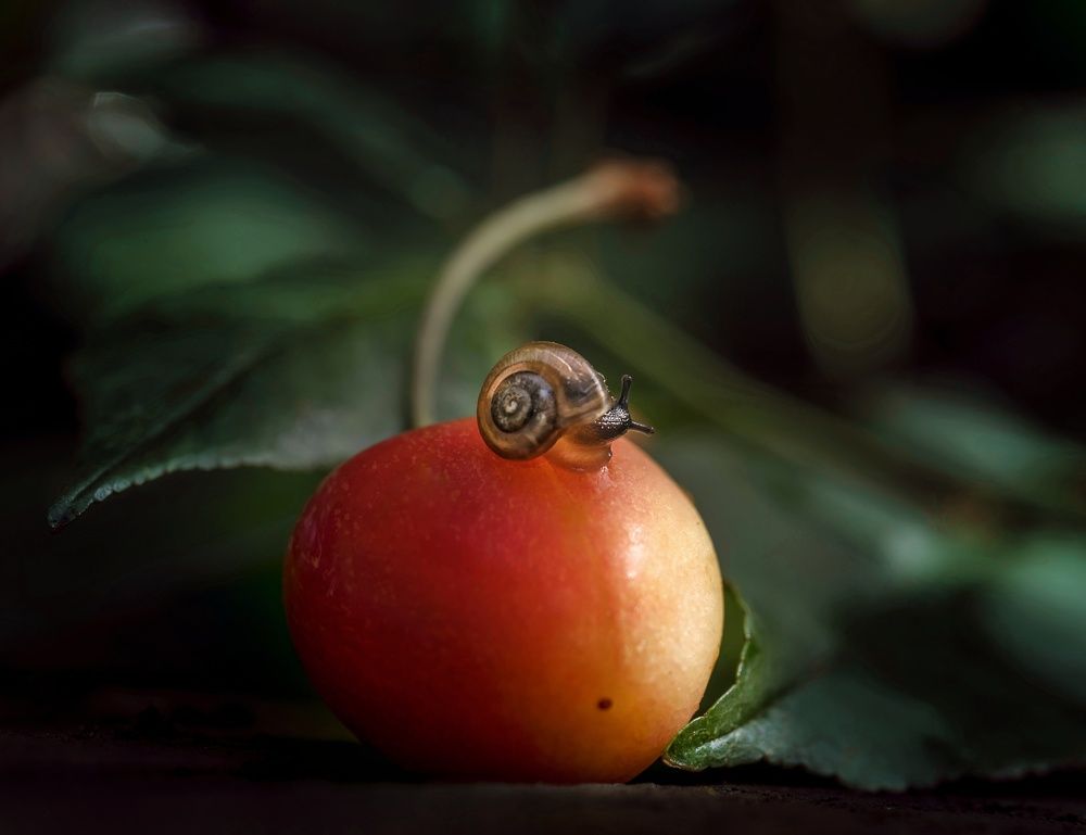 Photograph by Юлия Ильина