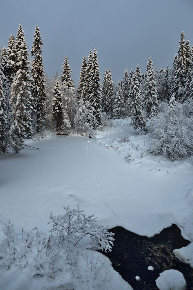 Зимний день.