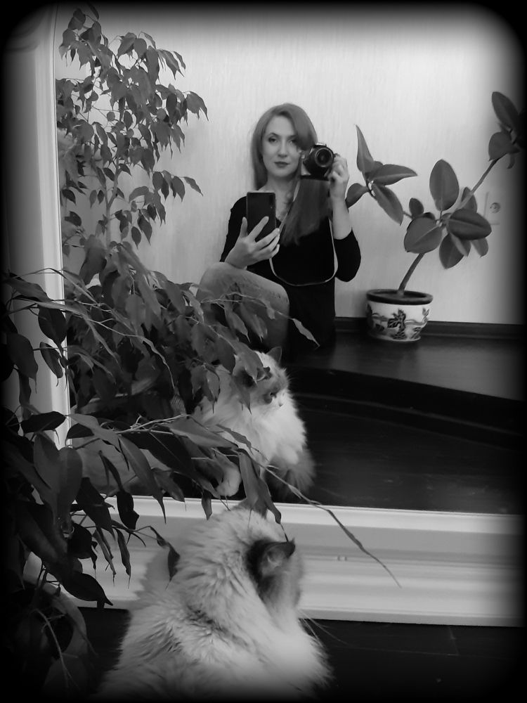 Photograph by Виктория Стецко