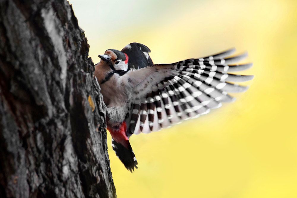 Photograph by Чернобай Анна