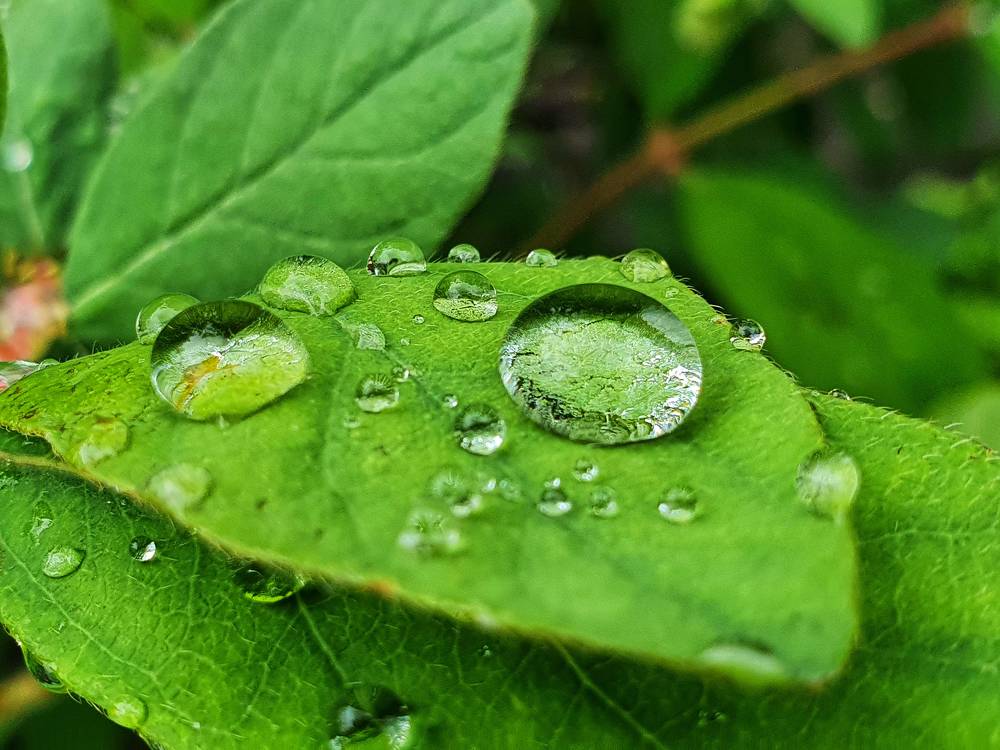 Photograph by Елена