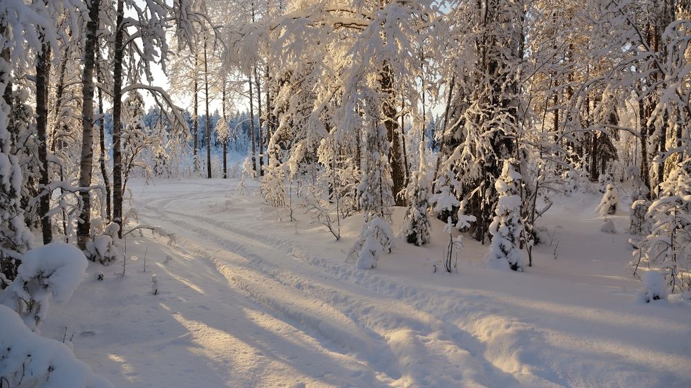 Снежный край.