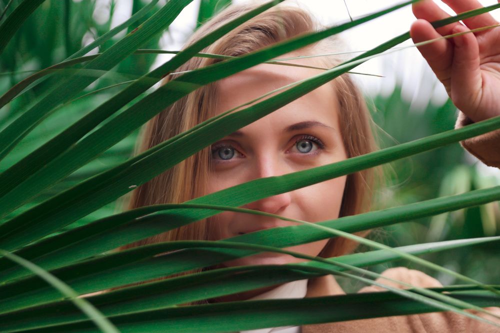 Photograph by Jehona