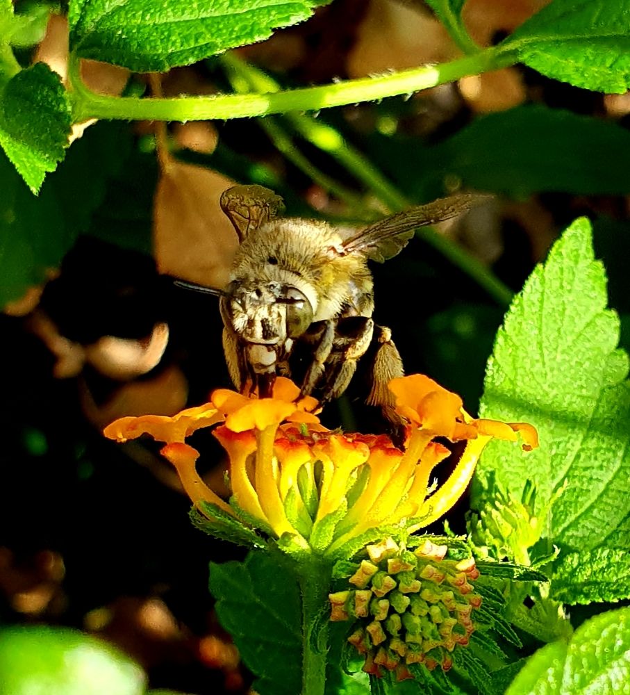 Photograph by Effie Zacharia