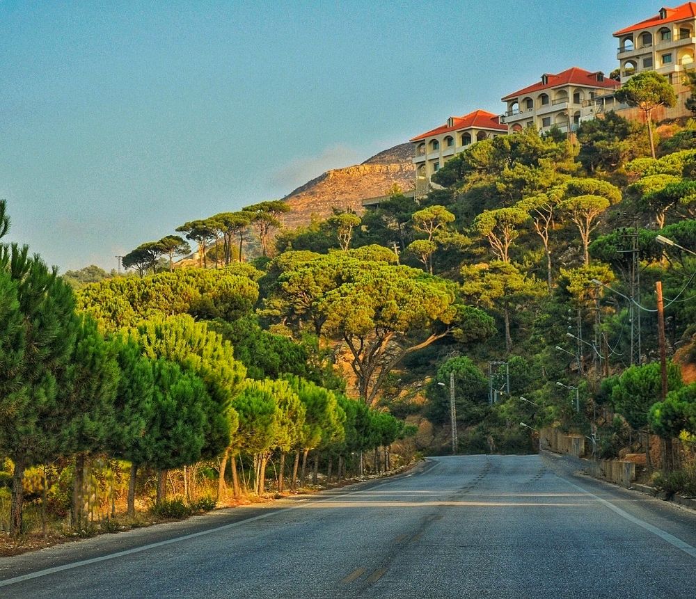 Photograph by Farah al Assir