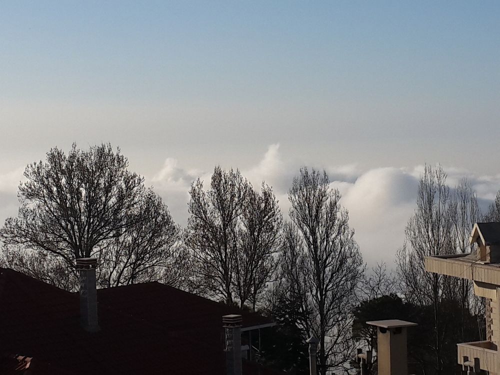 Photograph by Farah al Assir