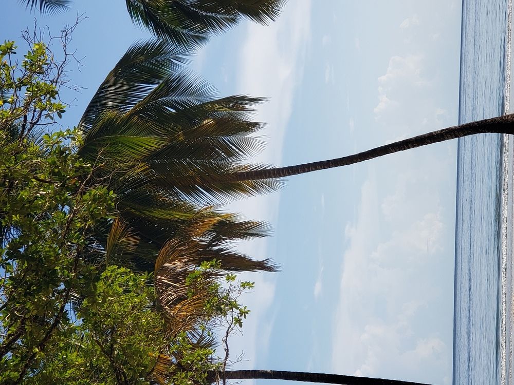 Photo #5726028