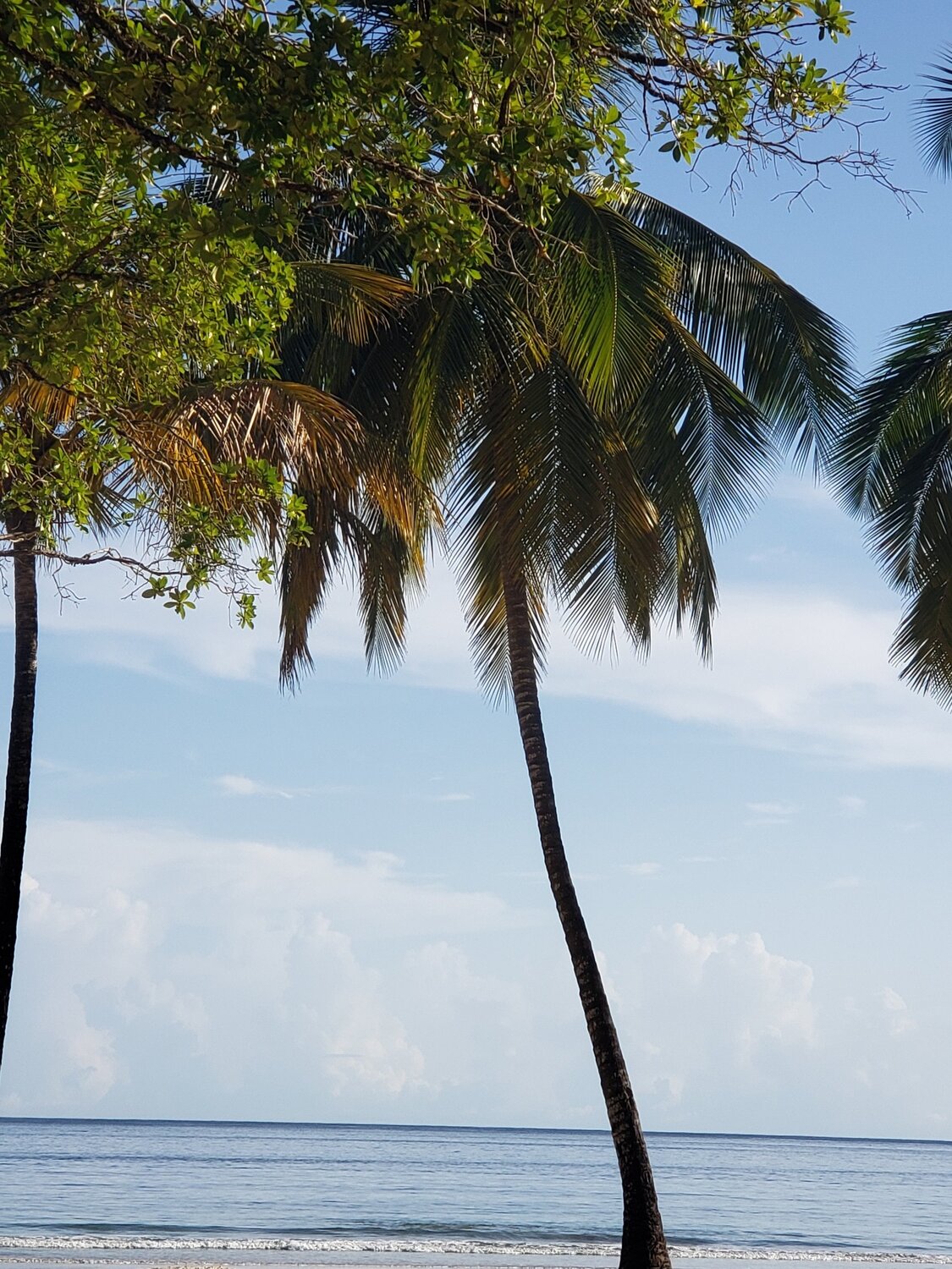 Photo #5726028