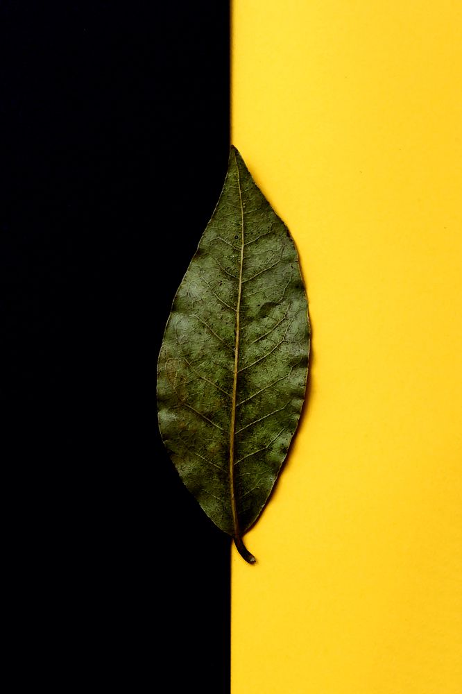 Photograph by Ирина Кротова