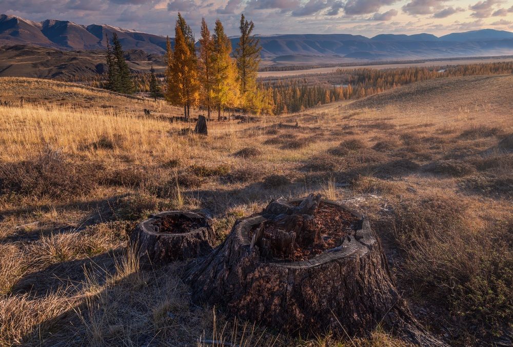 Photograph by Александр  Равин