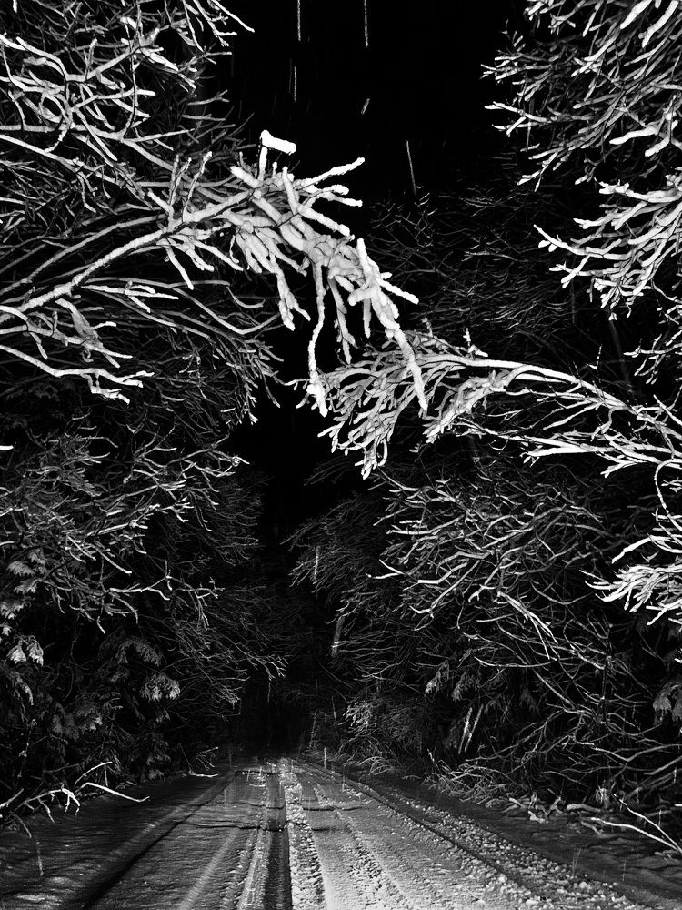 Photograph by Нина Никонорова