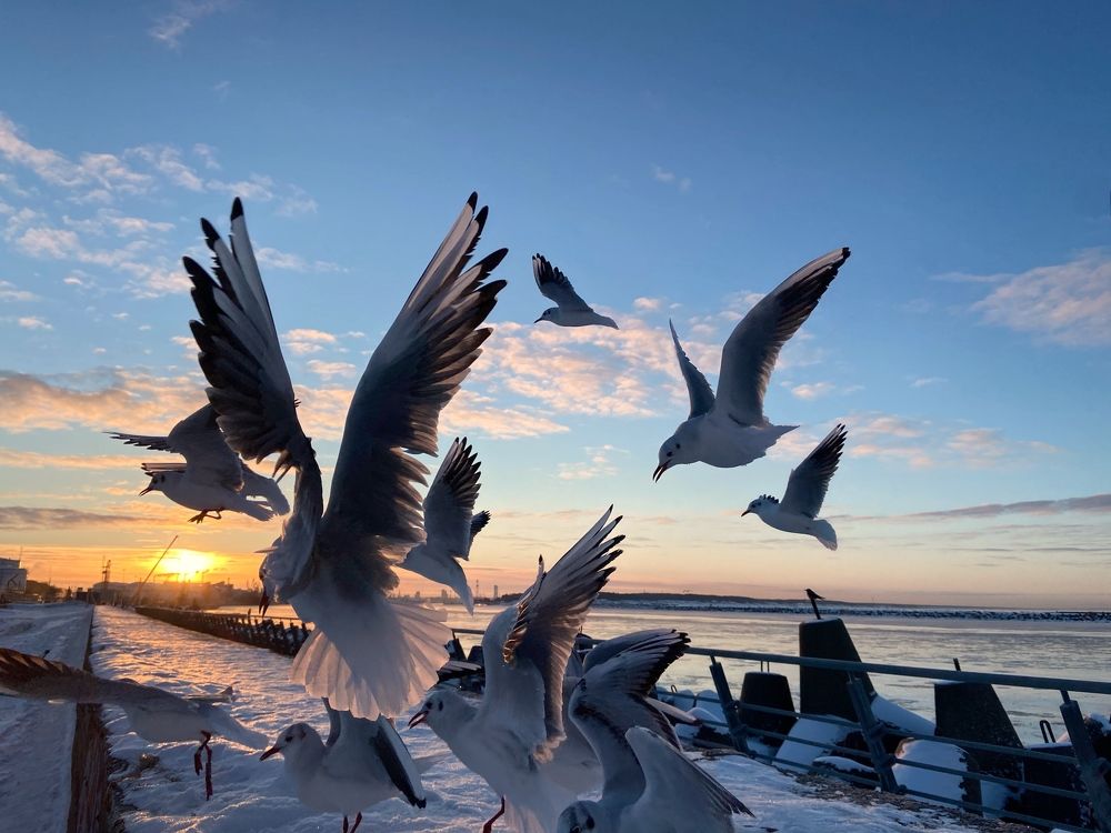 Photograph by Galina Baranovskaja