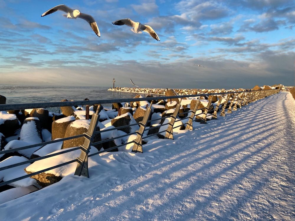 Photograph by Galina Baranovskaja