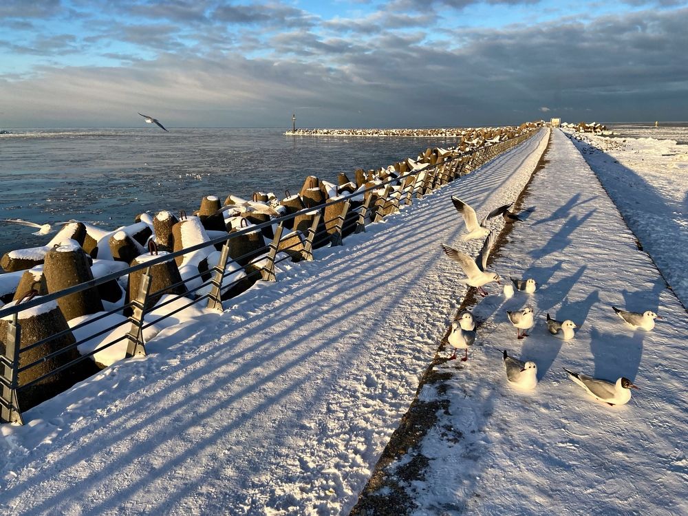 Photograph by Galina Baranovskaja